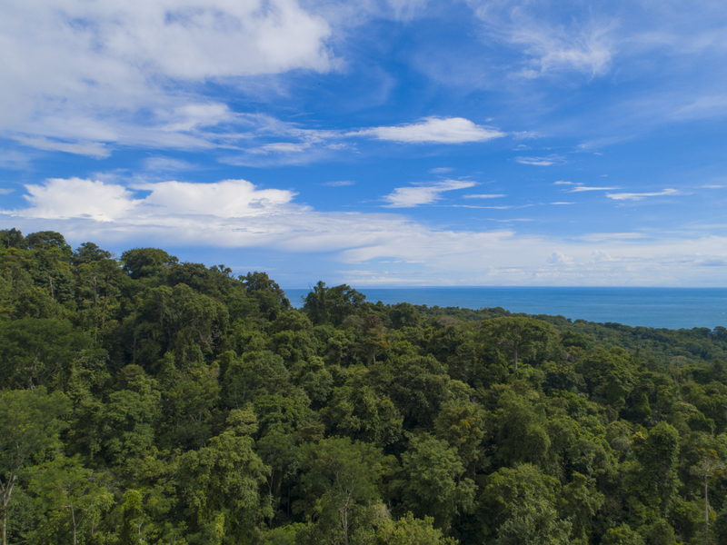 Land For Sale in Uvita Costa Rica